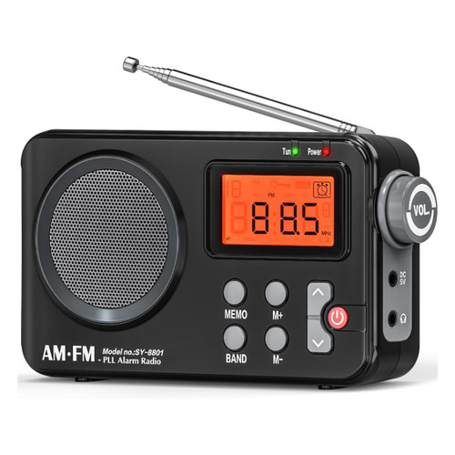 Tendak radio klein mit - fm,