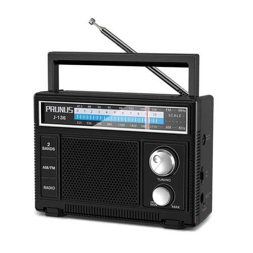 Prunus 136 kofferradio fm - prunus, am